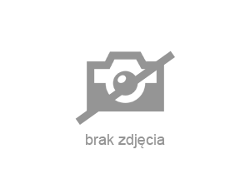 Toyota Pozostałe - zobacz ofertę